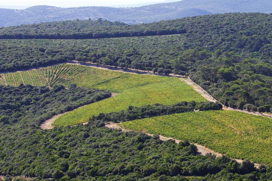 Domaine Coston