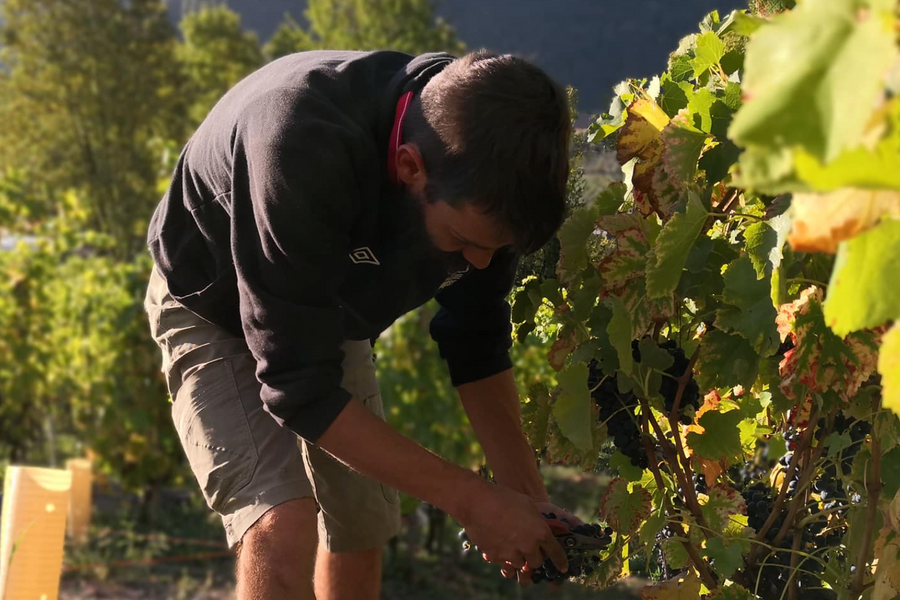 Domaine de l'Aitonnement - Maxime Dancoine