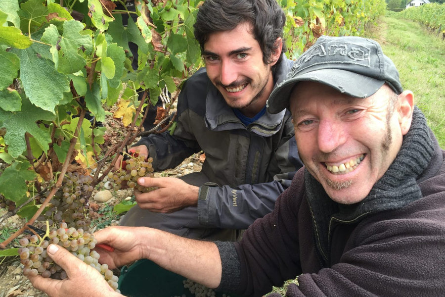 Domaine Pascal et Annick Quenard