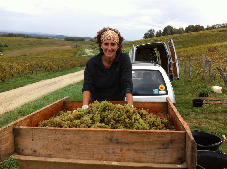 Domaine de la Loue - Catherine Hannoun