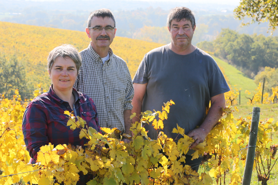 Les Grandes Vignes - Famille Vaillant