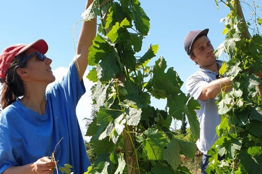 Domaine Eymin Tichoux