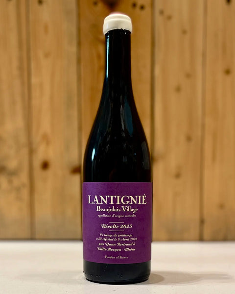 AOC Beaujolais Village Lantignié - Yann Bertrand