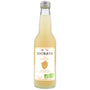 Ginger beer 33cl - Socrate